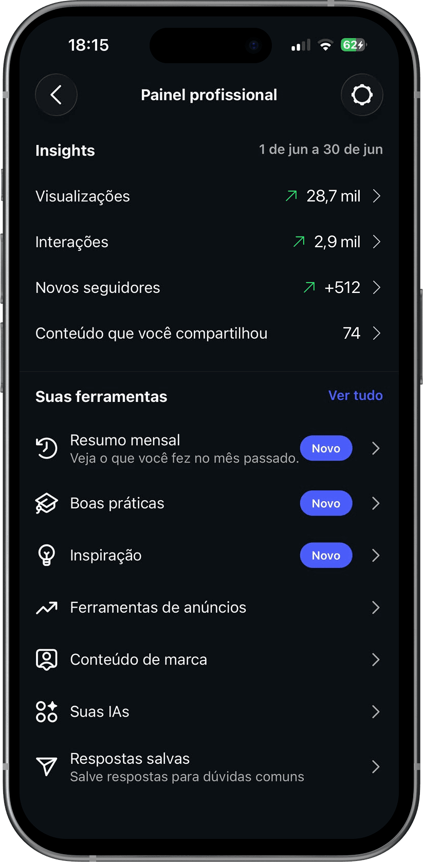 Painel Profissional do Instagram em um celular